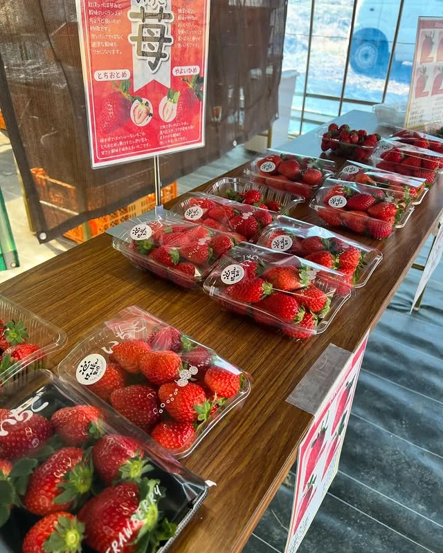 大多喜の直売所 いちご・野菜の陳列